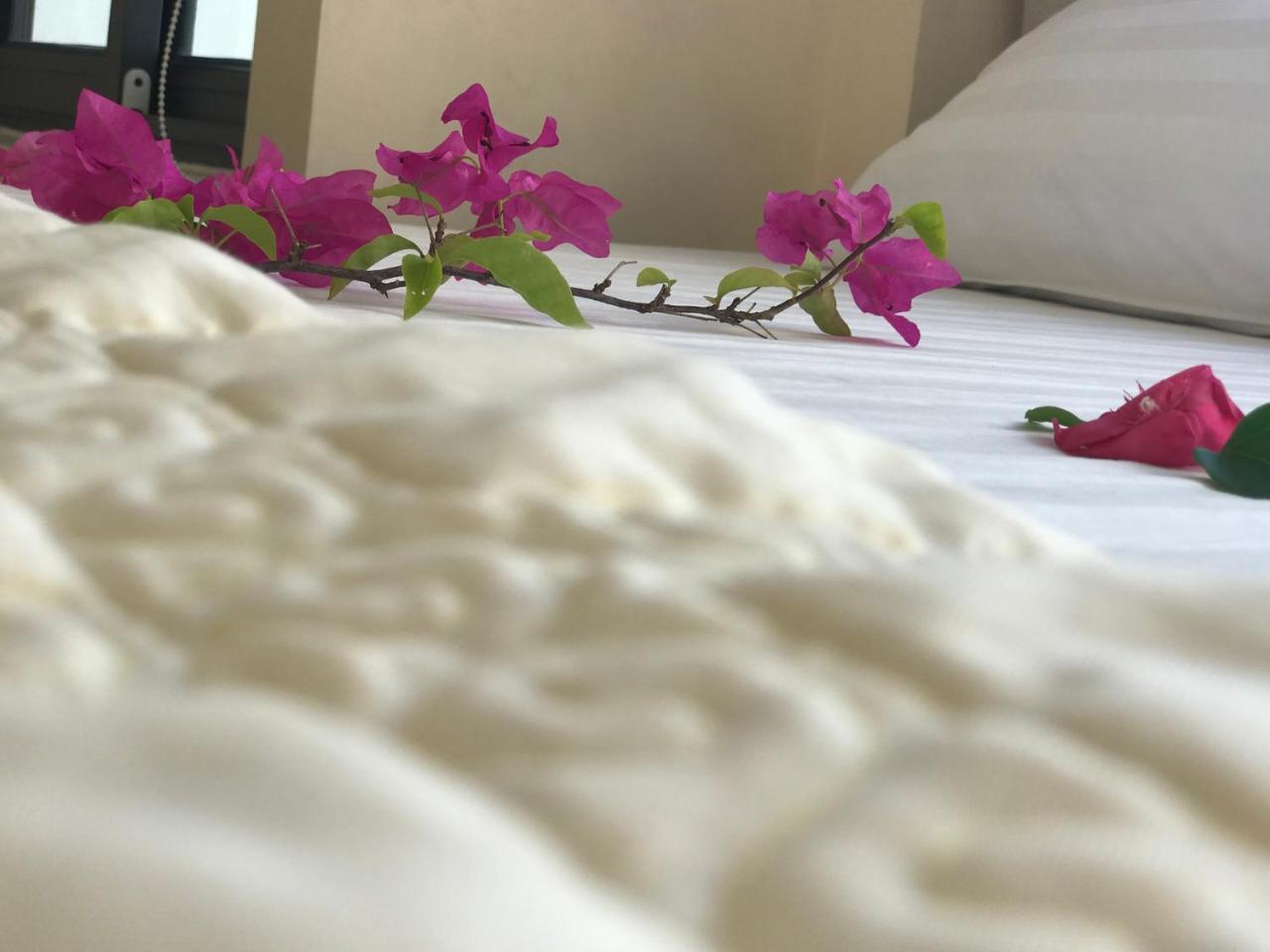 Ha Vy Hotel Cat Ba Island Екстер'єр фото