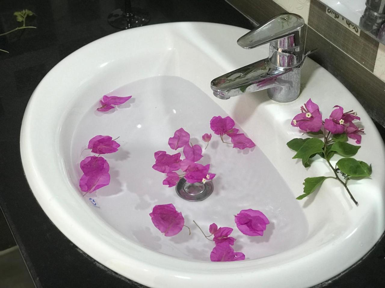 Ha Vy Hotel Cat Ba Island Екстер'єр фото