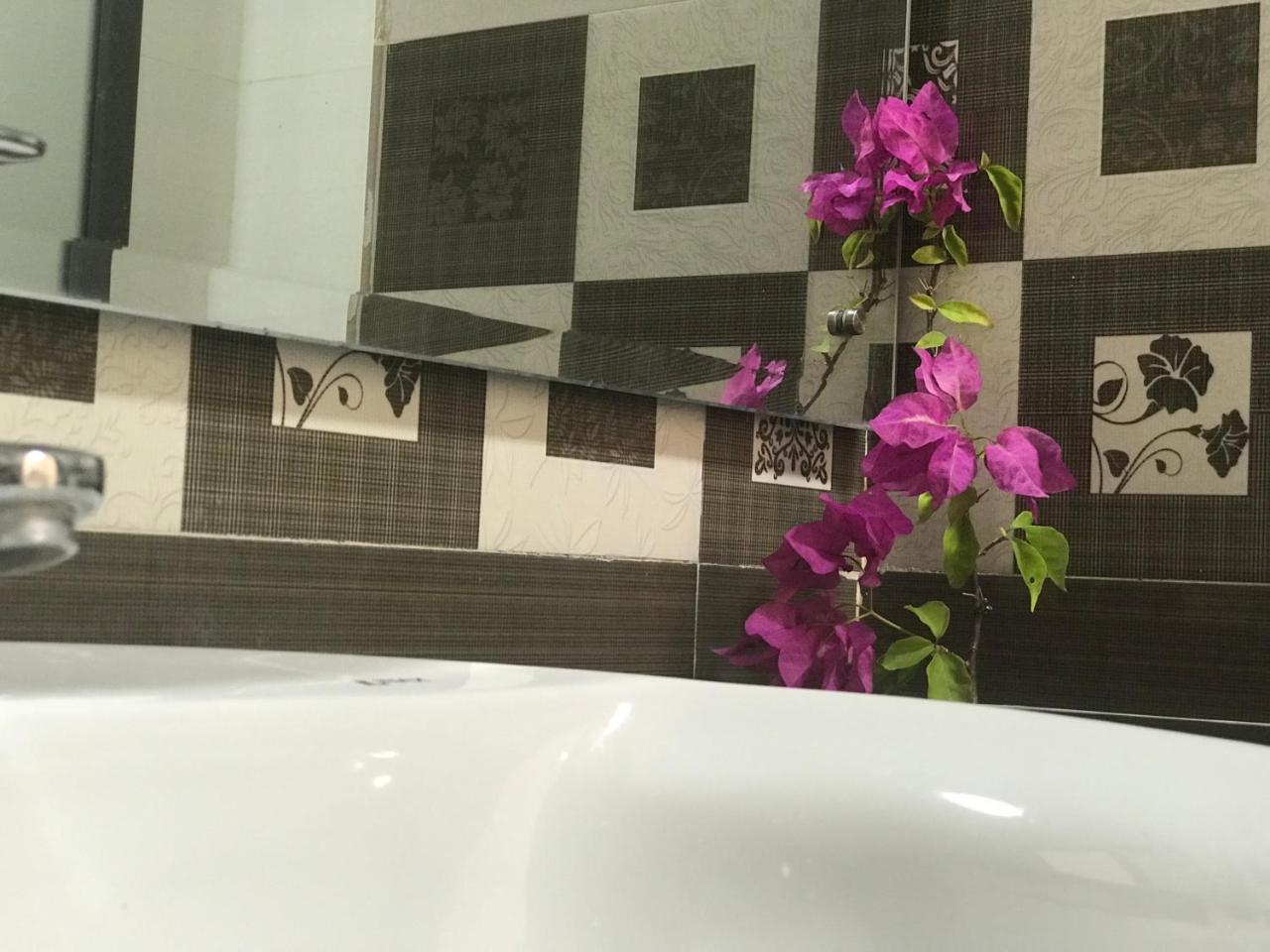 Ha Vy Hotel Cat Ba Island Екстер'єр фото